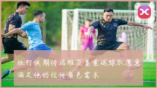 独行侠期待诺维茨基重返球队愿意满足他的任何角色需求