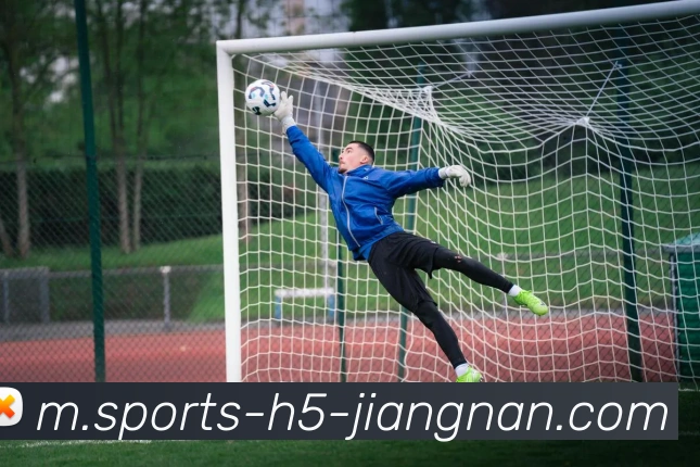 江南体育APP 封面图